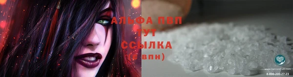 стафф Баксан