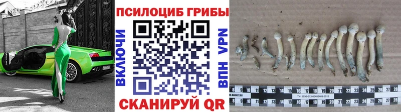 это клад  купить наркоту  Верхний Уфалей  Галлюциногенные грибы GOLDEN TEACHER 