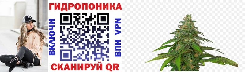 Марихуана сатива  как найти закладки  Верхний Уфалей 